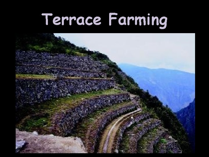 Terrace Farming 