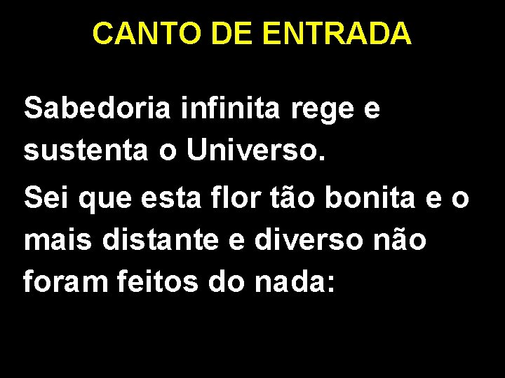 CANTO DE ENTRADA Sabedoria infinita rege e sustenta o Universo. Sei que esta flor