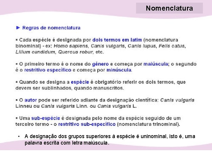 Nomenclatura • A designação dos grupos superiores à espécie é uninominal, isto é, uma