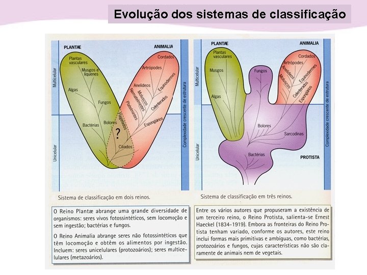 Evolução dos sistemas de classificação 