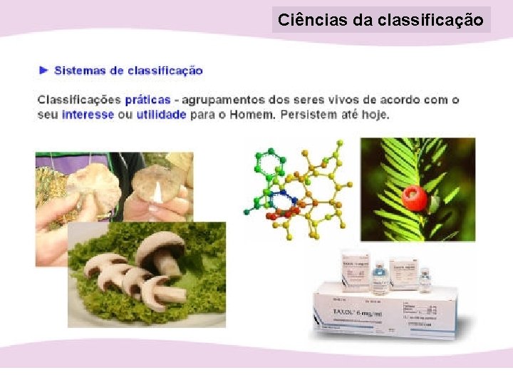 Ciências da classificação 