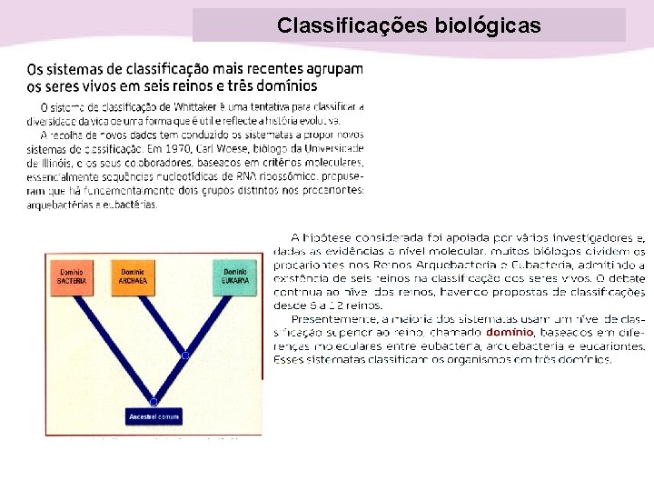 Classificações biológicas 