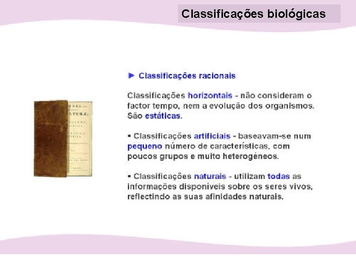 Classificações biológicas 