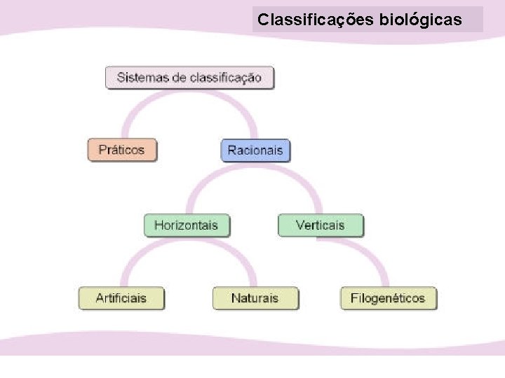 Classificações biológicas 