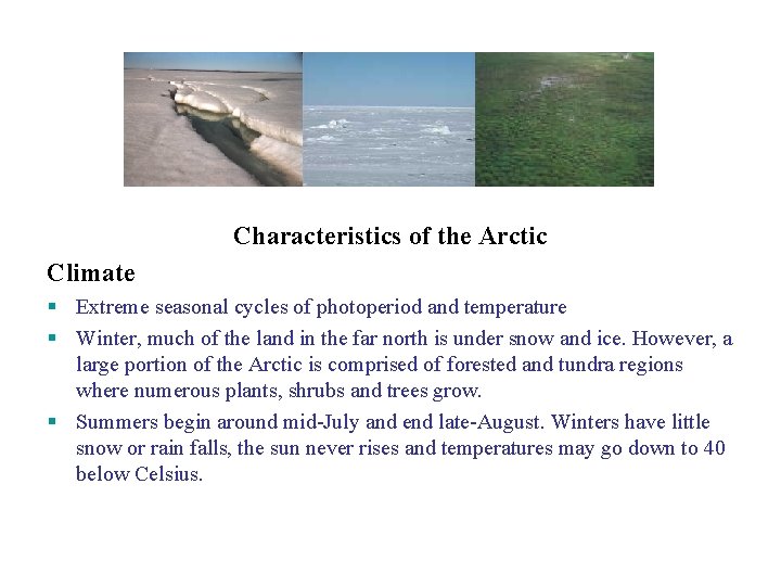 Characteristics of the Arctic Climate Extreme seasonal cycles of photoperiod and temperature Winter, much