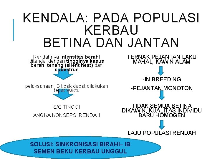 KENDALA: PADA POPULASI KERBAU BETINA DAN JANTAN Rendahnya intensitas berahi ditandai dengan tingginya kasus