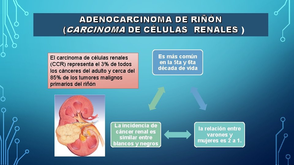 ADENOCARCINOMA DE RIÑÓN (CARCINOMA DE CÉLULAS RENALES ) El carcinoma de células renales (CCR)