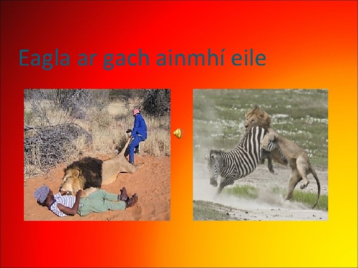 Eagla ar gach ainmhí eile 