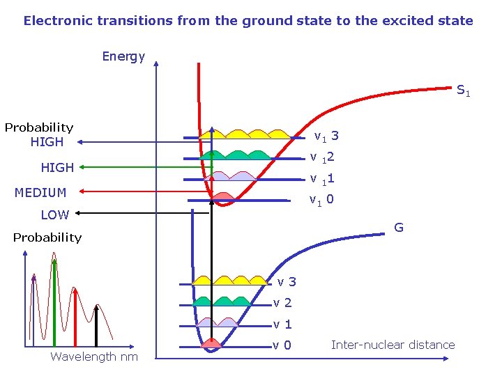 Electronic transitions from the ground state to the excited state Energy S 1 Probability