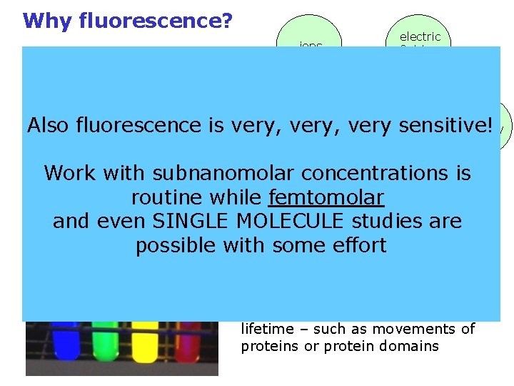 Why fluorescence? electric fields ions • it provides information on the molecular environment Also