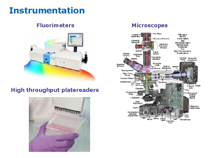 Instrumentation Fluorimeters High throughput platereaders Microscopes 
