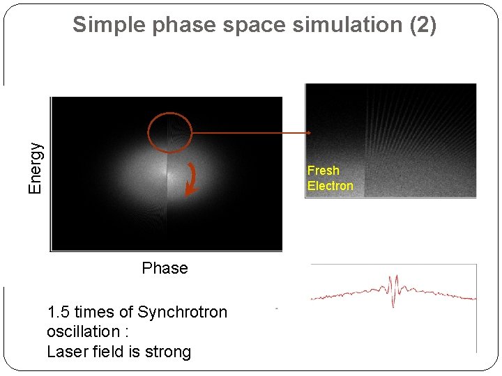 Energy Simple phase space simulation (2) Fresh Electron Phase 1. 5 times of Synchrotron