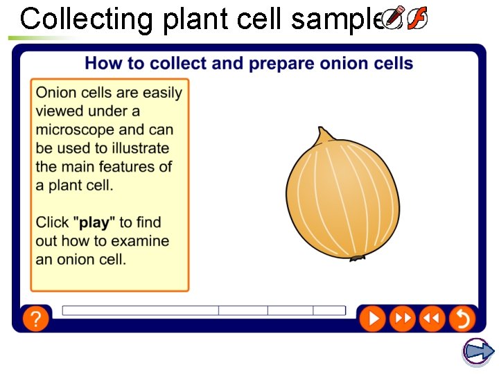 Collecting plant cell samples 