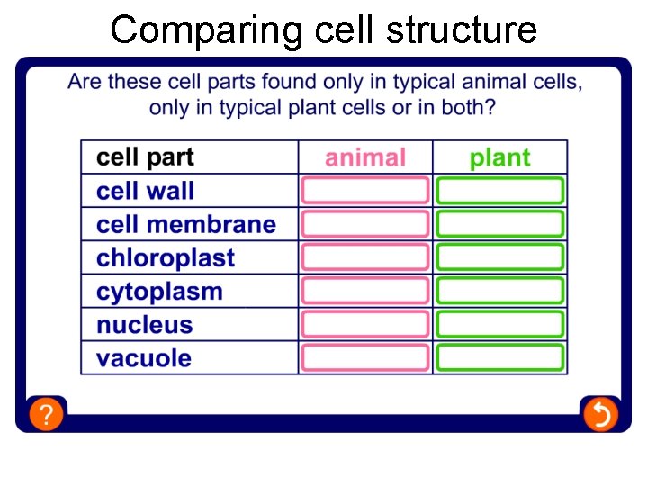 Comparing cell structure 