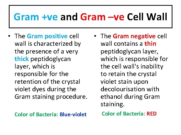 Gram +ve and Gram –ve Cell Wall • The Gram positive cell • The