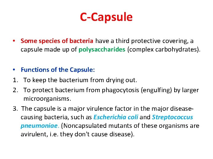 C-Capsule • Some species of bacteria have a third protective covering, a capsule made
