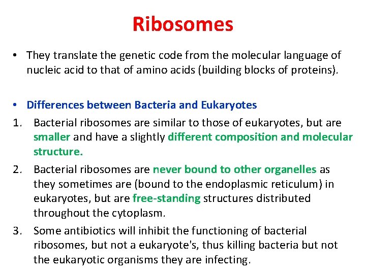 Ribosomes • They translate the genetic code from the molecular language of nucleic acid