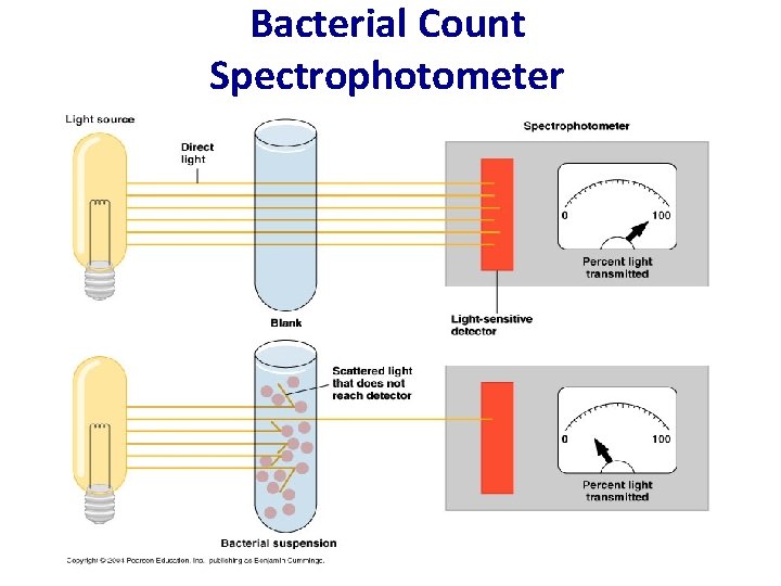 Bacterial Count Spectrophotometer 