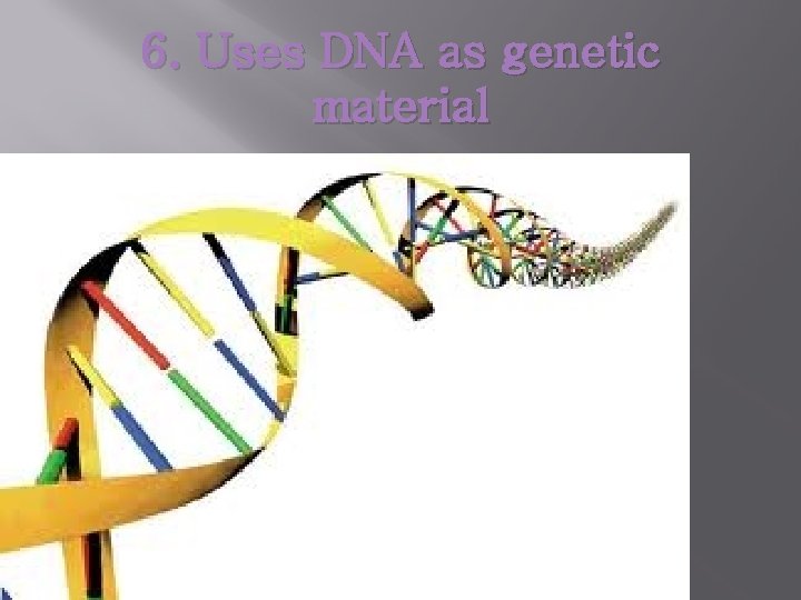 6. Uses DNA as genetic material 