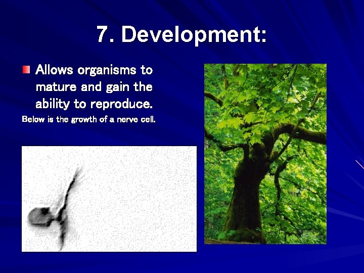 7. Development: Allows organisms to mature and gain the ability to reproduce. Below is