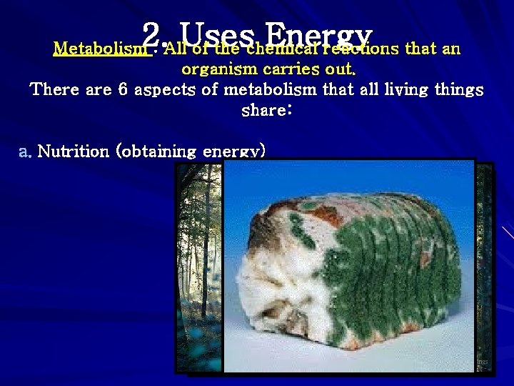 2. Uses Energy Metabolism : All of the chemical reactions that an organism carries