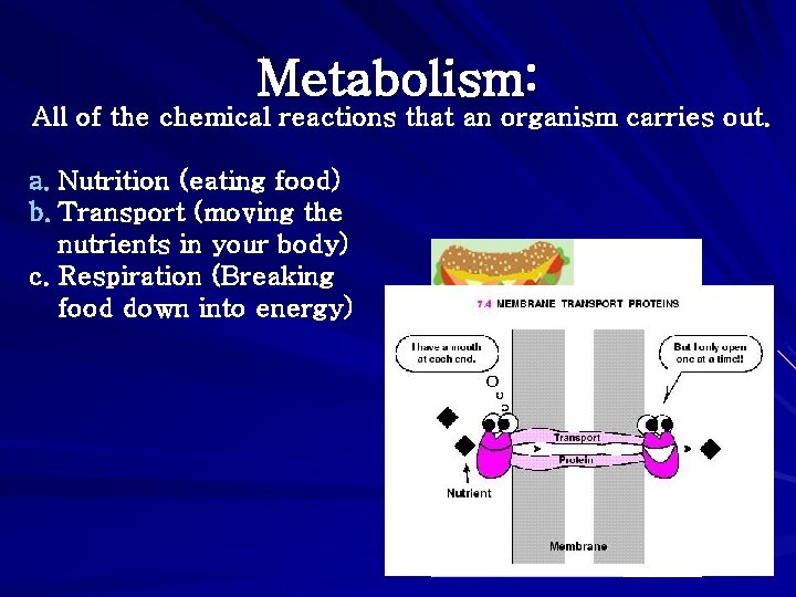 Metabolism: All of the chemical reactions that an organism carries out. a. Nutrition (eating