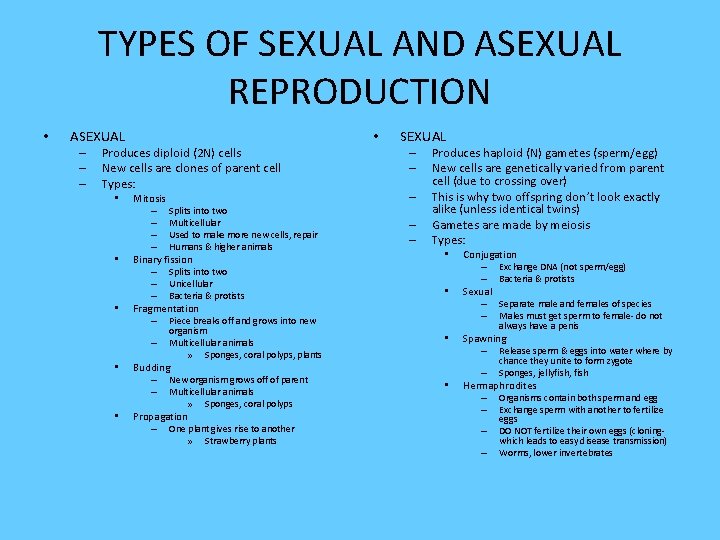 TYPES OF SEXUAL AND ASEXUAL REPRODUCTION • ASEXUAL – – – • Produces diploid