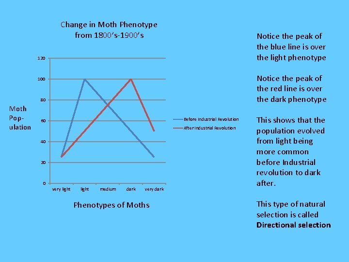Change in Moth Phenotype from 1800’s-1900’s Notice the peak of the blue line is