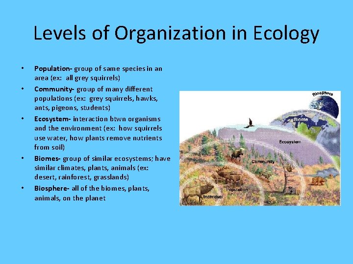 Levels of Organization in Ecology • • • Population- group of same species in