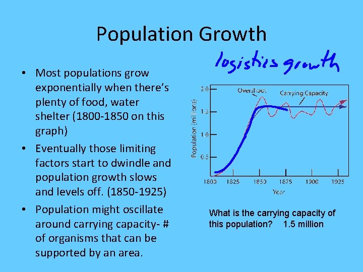 Population Growth • Most populations grow exponentially when there’s plenty of food, water shelter