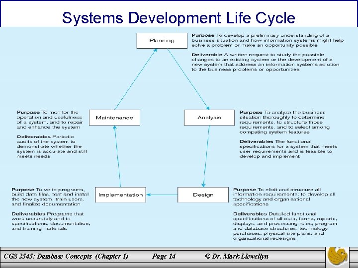 Systems Development Life Cycle CGS 2545: Database Concepts (Chapter 1) Page 14 © Dr.
