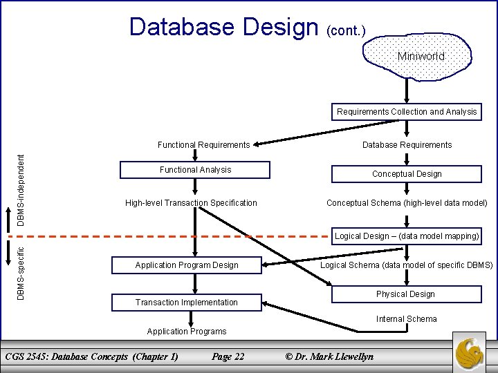 Database Design (cont. ) Miniworld Requirements Collection and Analysis DBMS-independent Functional Requirements Functional Analysis