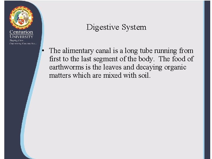 Digestive System • The alimentary canal is a long tube running from first to