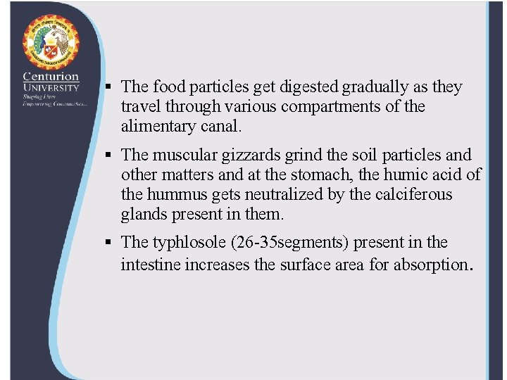 § The food particles get digested gradually as they travel through various compartments of