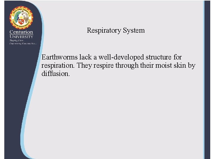 Respiratory System Earthworms lack a well-developed structure for respiration. They respire through their moist