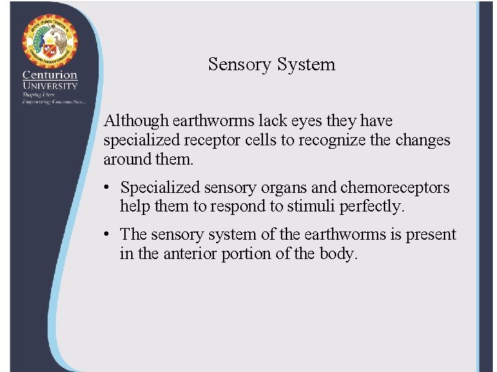 Sensory System Although earthworms lack eyes they have specialized receptor cells to recognize the