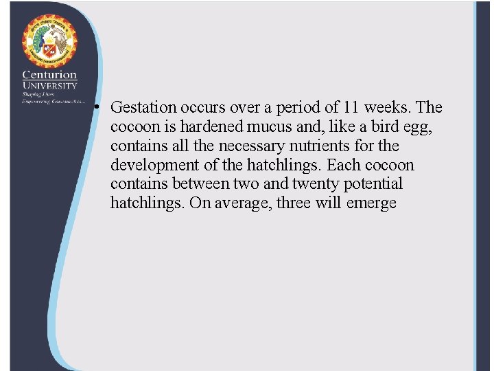  • Gestation occurs over a period of 11 weeks. The cocoon is hardened