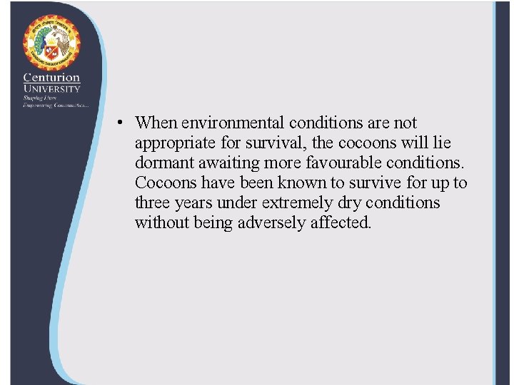  • When environmental conditions are not appropriate for survival, the cocoons will lie
