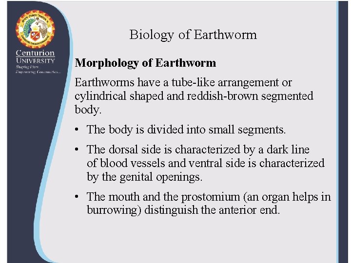 Biology of Earthworm Morphology of Earthworms have a tube-like arrangement or cylindrical shaped and