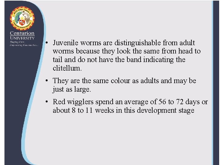  • Juvenile worms are distinguishable from adult worms because they look the same