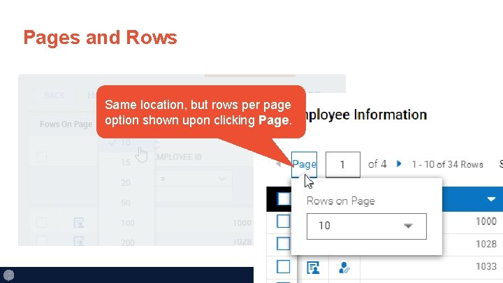 Pages and Rows Same location, but rows per page option shown upon clicking Page.