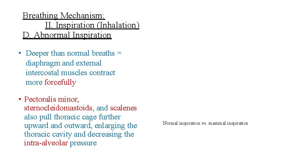 Breathing Mechanism: II. Inspiration (Inhalation) D. Abnormal Inspiration • Deeper than normal breaths =