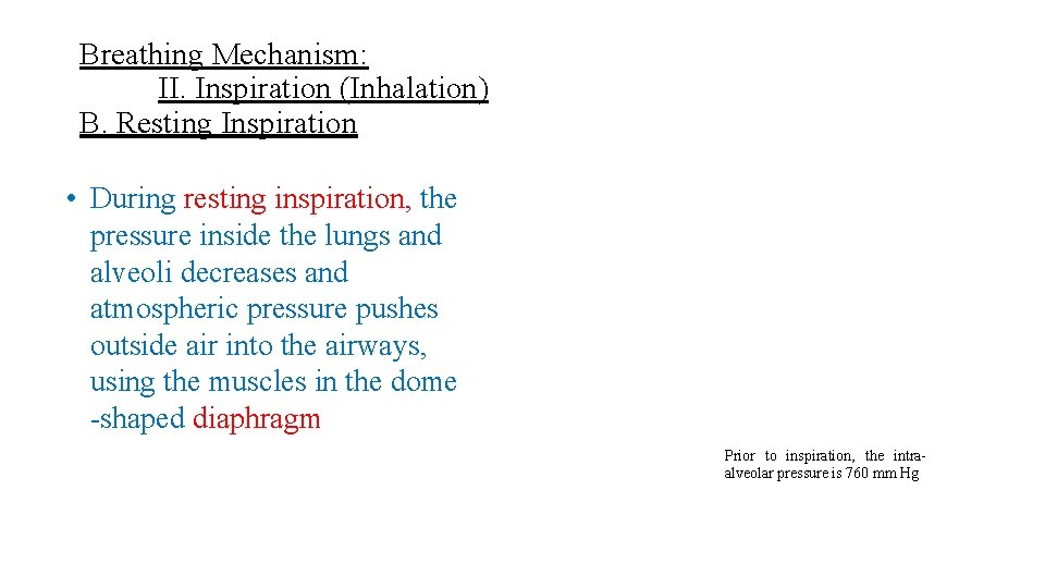 Breathing Mechanism: II. Inspiration (Inhalation) B. Resting Inspiration • During resting inspiration, the pressure