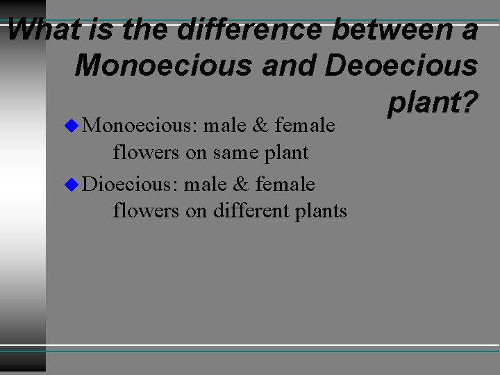 Plant Reproduction What is the difference between Sexual