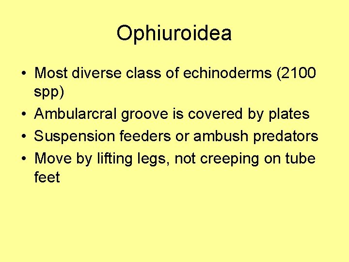 Ophiuroidea • Most diverse class of echinoderms (2100 spp) • Ambularcral groove is covered