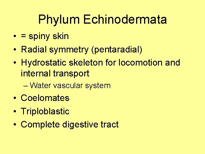 Phylum Echinodermata • = spiny skin • Radial symmetry (pentaradial) • Hydrostatic skeleton for