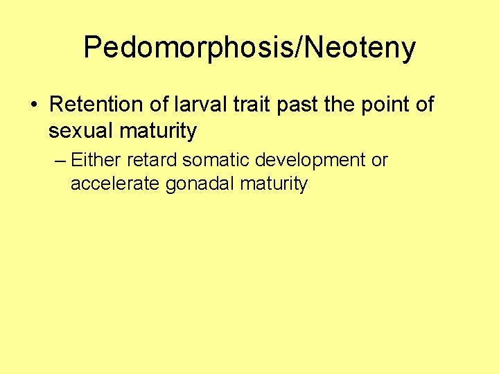 Pedomorphosis/Neoteny • Retention of larval trait past the point of sexual maturity – Either