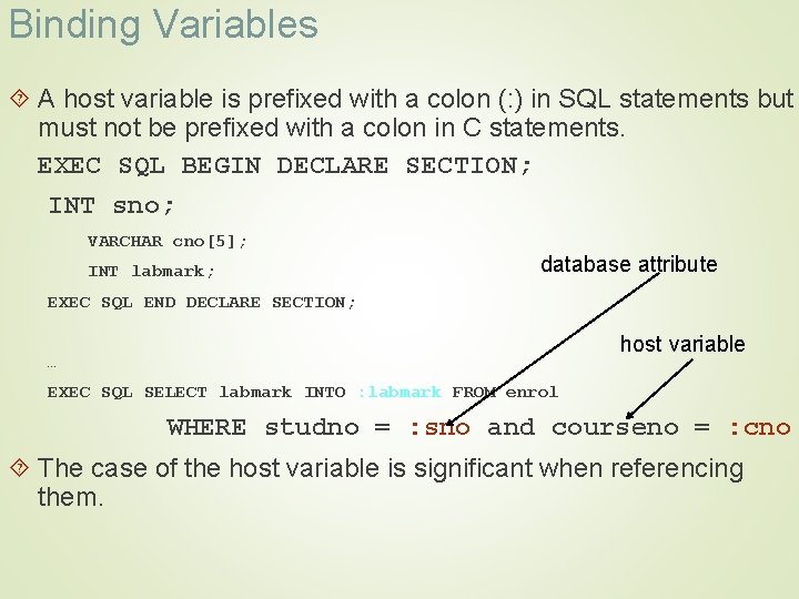 Binding Variables A host variable is prefixed with a colon (: ) in SQL