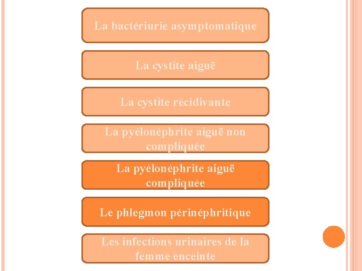 La bactériurie asymptomatique La cystite aiguë La cystite récidivante La pyélonéphrite aiguë non compliquée