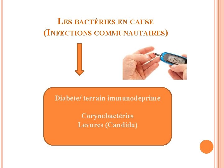 LES BACTÉRIES EN CAUSE (INFECTIONS COMMUNAUTAIRES) Diabète/ terrain immunodéprimé Corynebactéries Levures (Candida) 